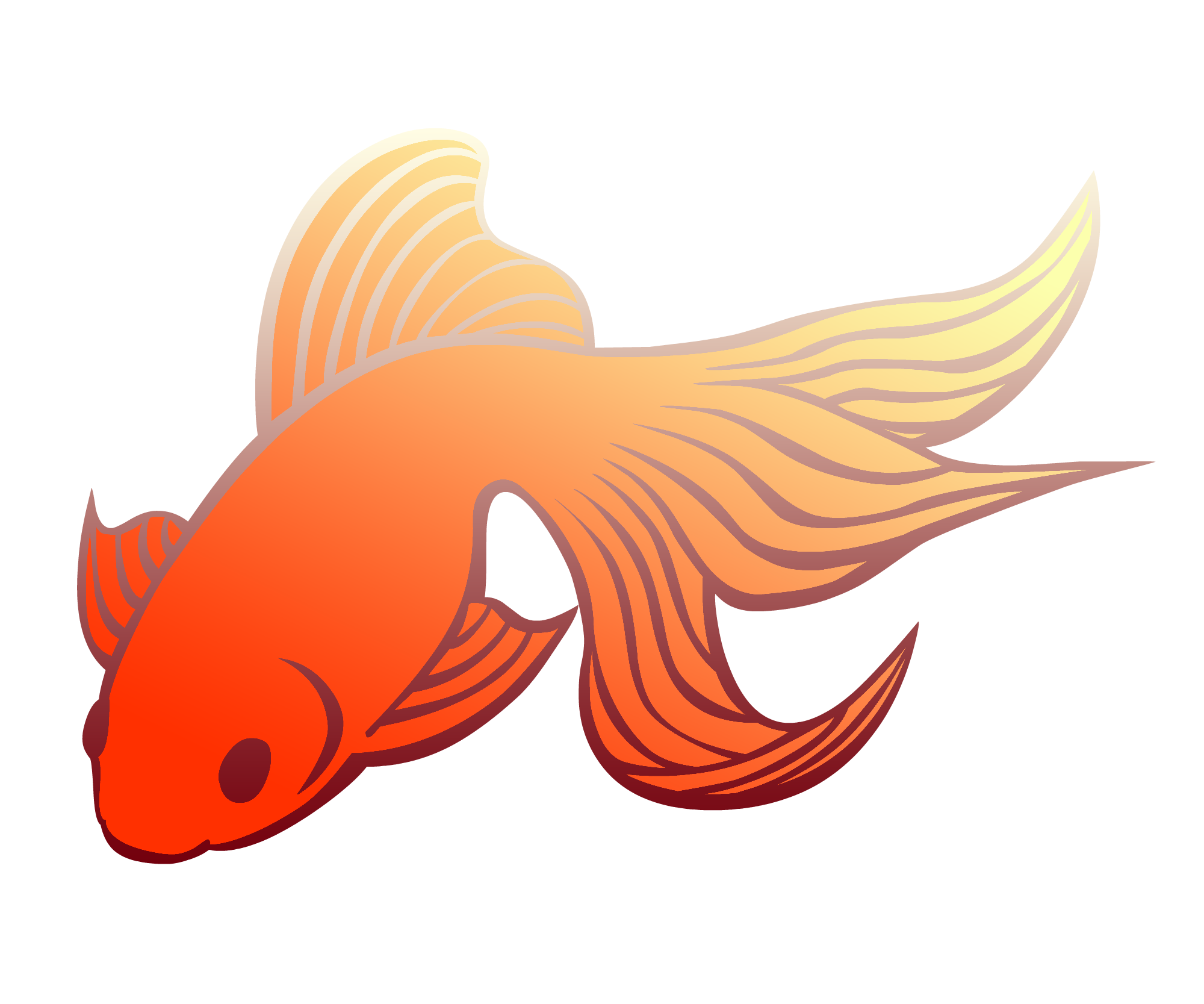 暑中見舞い向け 金魚のイラスト無料素材 はがきの挿絵用無料イラスト素材